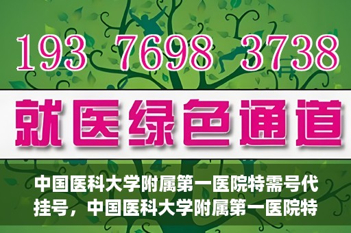 中国医科大学附属第一医院特需号代挂号，中国医科大学附属第一医院特需号源代挂号服务解析