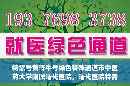 特需号黄哥牛号绿色特殊通道市中医药大学附属曙光医院，曙光医院特需号绿色特殊通道，黄哥牛号引领中医新时代风潮