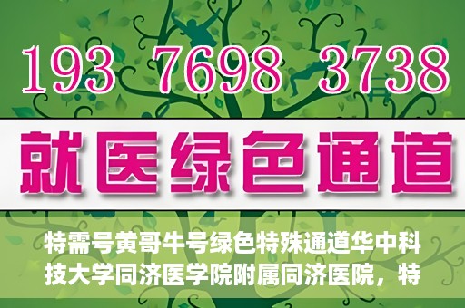 特需号黄哥牛号绿色特殊通道华中科技大学同济医学院附属同济医院，特需号黄哥牛号背后的绿色特殊通道，华中科技大学同济医学院附属同济医院的探索与实践