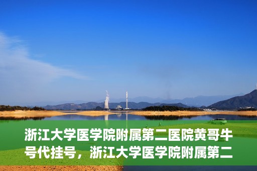 浙江大学医学院附属第二医院黄哥牛号代挂号，浙江大学医学院附属第二医院黄哥牛号挂号服务解析