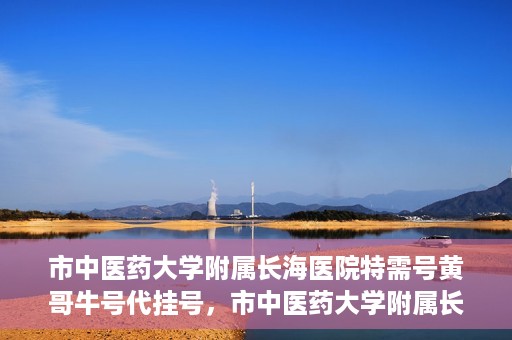 市中医药大学附属长海医院特需号黄哥牛号代挂号，市中医药大学附属长海医院特需号黄哥牛号挂号攻略，专业代挂号服务解析