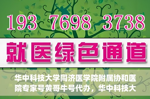华中科技大学同济医学院附属协和医院专家号黄哥牛号代办，华中科技大学同济医学院附属协和医院专家号代办揭秘，黄哥牛号助您轻松预约专家号