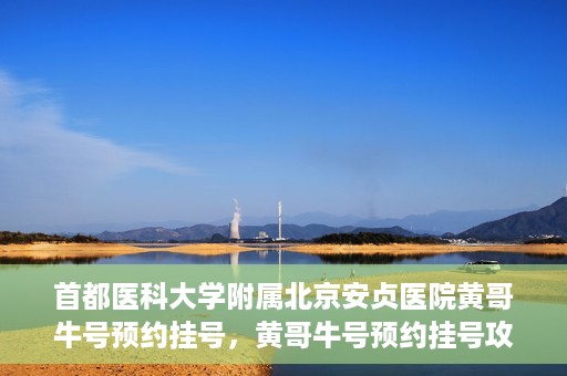 首都医科大学附属北京安贞医院黄哥牛号预约挂号，黄哥牛号预约挂号攻略，首都医科大学附属北京安贞医院就医指南