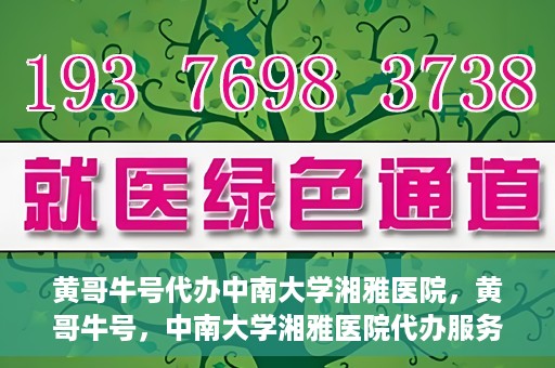 黄哥牛号代办中南大学湘雅医院，黄哥牛号，中南大学湘雅医院代办服务详解