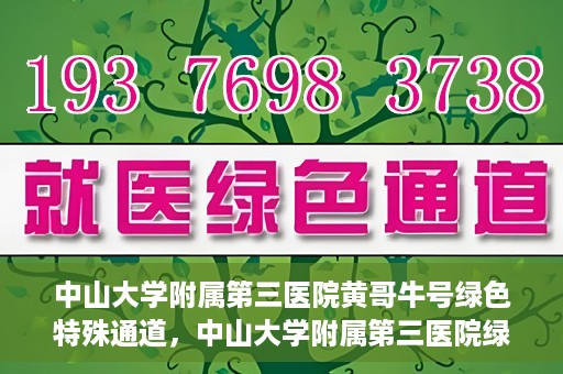 中山大学附属第三医院黄哥牛号绿色特殊通道，中山大学附属第三医院绿色特殊通道，黄哥牛号引领医疗创新之路