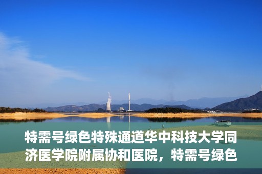 特需号绿色特殊通道华中科技大学同济医学院附属协和医院，特需号绿色通道的奥秘，华中科技大学同济医学院附属协和医院独家解读