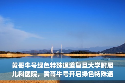 黄哥牛号绿色特殊通道复旦大学附属儿科医院，黄哥牛号开启绿色特殊通道，复旦大学附属儿科医院助力健康成长新篇章