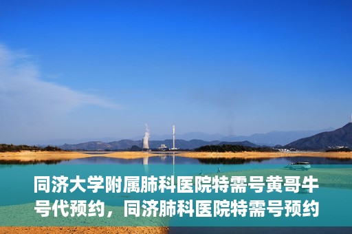 同济大学附属肺科医院特需号黄哥牛号代预约，同济肺科医院特需号预约专家黄哥牛号服务启动