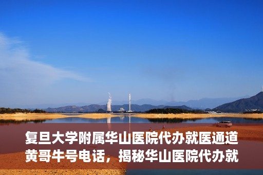 复旦大学附属华山医院代办就医通道黄哥牛号电话，揭秘华山医院代办就医通道，黄哥牛号电话背后的故事