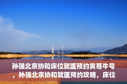 孙强北京协和床位就医预约黄哥牛号，孙强北京协和就医预约攻略，床位预约秘籍与黄哥牛号揭秘