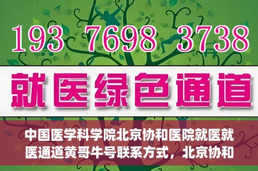 中国医学科学院北京协和医院就医就医通道黄哥牛号联系方式，北京协和医院就医通道解析，黄哥牛号联系方式揭秘