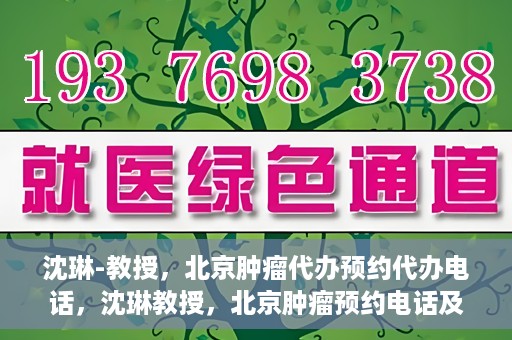 沈琳-教授，北京肿瘤代办预约代办电话，沈琳教授，北京肿瘤预约电话及代办服务解析