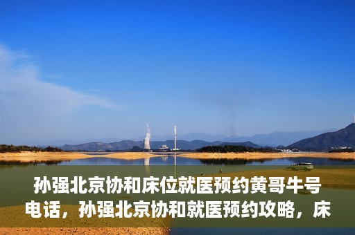 孙强北京协和床位就医预约黄哥牛号电话，孙强北京协和就医预约攻略，床位预约电话及黄哥牛号揭秘