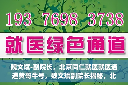 魏文斌-副院长，北京同仁就医就医通道黄哥牛号，魏文斌副院长揭秘，北京同仁就医通道黄哥牛号背后的故事