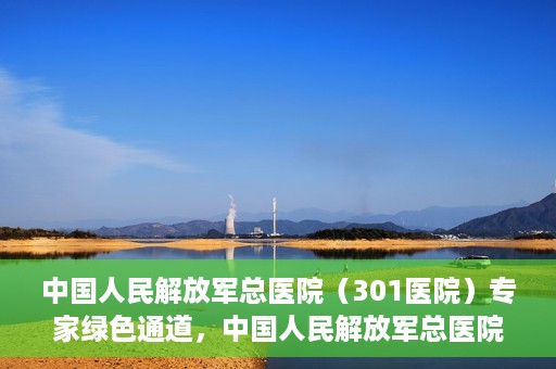 中国人民解放军总医院（301医院）专家绿色通道，中国人民解放军总医院专家绿色通道，高效就医新通道开启