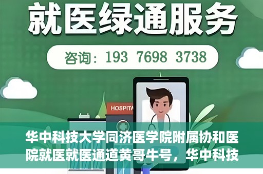 华中科技大学同济医学院附属协和医院就医就医通道黄哥牛号，华中科技大学同济医学院附属协和医院就医通道详解，黄哥牛号引领就医新体验