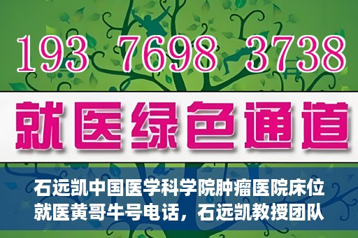 石远凯中国医学科学院肿瘤医院床位就医黄哥牛号电话，石远凯教授团队就医攻略，中国医学科学院肿瘤医院床位预约与黄哥牛号联系电话揭秘