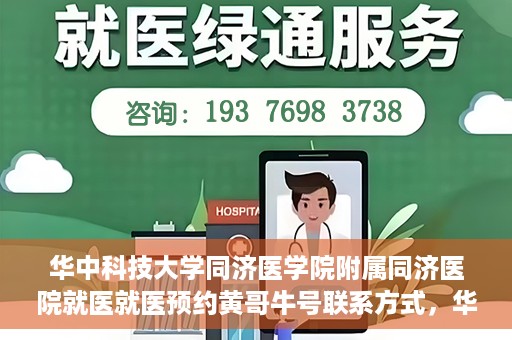 华中科技大学同济医学院附属同济医院就医就医预约黄哥牛号联系方式，华中科技大学同济医院就医预约联系方式揭秘，黄哥牛号预约渠道及联系方式解析