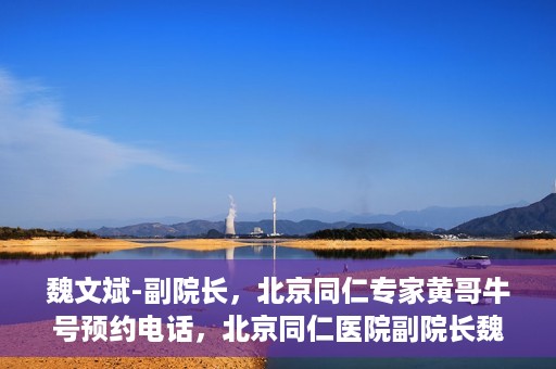 魏文斌-副院长，北京同仁专家黄哥牛号预约电话，北京同仁医院副院长魏文斌与专家黄哥牛号预约热线揭秘