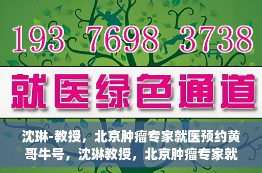 沈琳-教授，北京肿瘤专家就医预约黄哥牛号，沈琳教授，北京肿瘤专家就医预约热线背后的权威力量