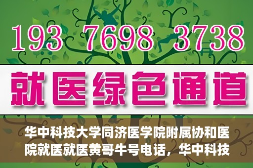 华中科技大学同济医学院附属协和医院就医就医黄哥牛号电话，华中科技大学同济医学院附属协和医院就医黄哥牛号电话详解