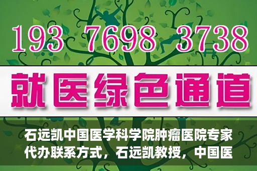 石远凯中国医学科学院肿瘤医院专家代办联系方式，石远凯教授，中国医学科学院肿瘤医院专家联系方式及预约代办指南