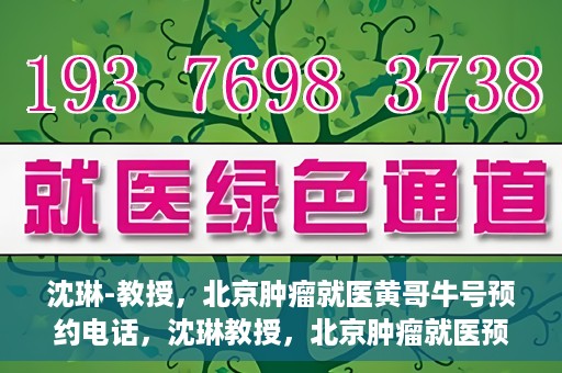 沈琳-教授，北京肿瘤就医黄哥牛号预约电话，沈琳教授，北京肿瘤就医预约热线及黄哥牛号解析