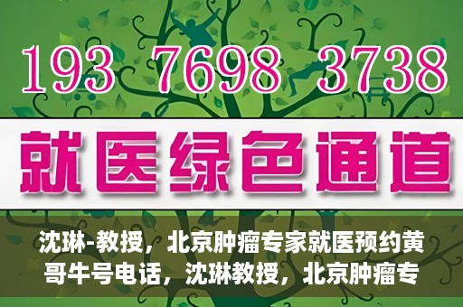 沈琳-教授，北京肿瘤专家就医预约黄哥牛号电话，沈琳教授，北京肿瘤专家预约热线，黄哥牛号电话直达就医通道