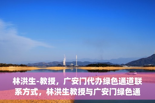 林洪生-教授，广安门代办绿色通道联系方式，林洪生教授与广安门绿色通道，联系方式揭秘