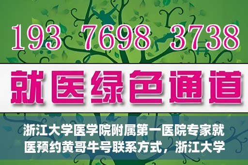 浙江大学医学院附属第一医院专家就医预约黄哥牛号联系方式，浙江大学医学院附属第一医院专家就医预约，黄哥牛号联系方式全解析