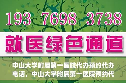 中山大学附属第一医院代办预约代办电话，中山大学附属第一医院预约代办服务热线揭秘