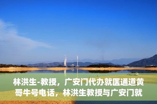林洪生-教授，广安门代办就医通道黄哥牛号电话，林洪生教授与广安门就医通道背后的故事，黄哥牛号电话揭秘