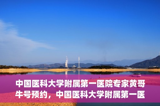 中国医科大学附属第一医院专家黄哥牛号预约，中国医科大学附属第一医院专家黄哥牛预约挂号攻略