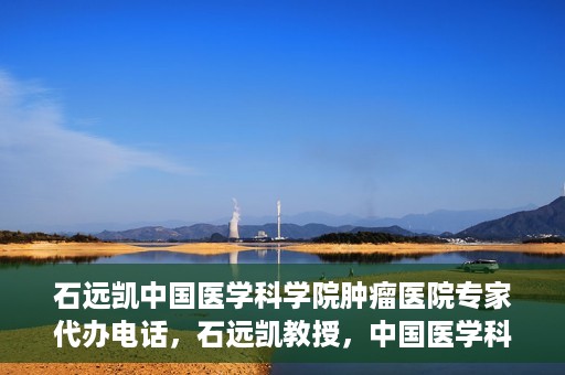 石远凯中国医学科学院肿瘤医院专家代办电话，石远凯教授，中国医学科学院肿瘤医院专家预约挂号及咨询热线