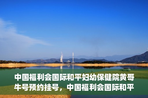中国福利会国际和平妇幼保健院黄哥牛号预约挂号，中国福利会国际和平妇幼保健院黄哥牛号——预约挂号攻略