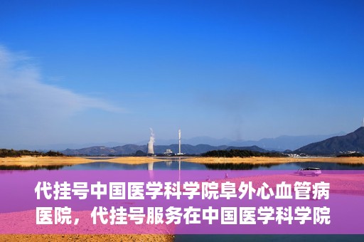 代挂号中国医学科学院阜外心血管病医院，代挂号服务在中国医学科学院阜外心血管病医院，预约挂号新体验与挑战