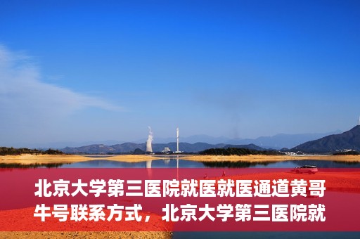 北京大学第三医院就医就医通道黄哥牛号联系方式，北京大学第三医院就医通道详解，黄哥牛号联系方式揭秘