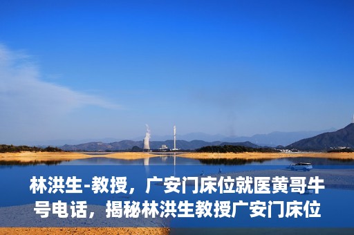 林洪生-教授，广安门床位就医黄哥牛号电话，揭秘林洪生教授广安门床位就医背后的故事，黄哥牛号电话背后的真相