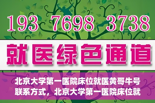 北京大学第一医院床位就医黄哥牛号联系方式，北京大学第一医院床位就医攻略，黄哥牛号联系方式全解析