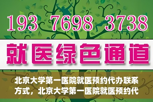 北京大学第一医院就医预约代办联系方式，北京大学第一医院就医预约代办服务指南，快速获取联系方式