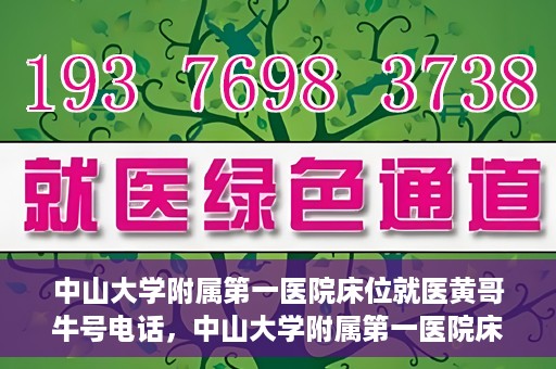 中山大学附属第一医院床位就医黄哥牛号电话，中山大学附属第一医院床位预约就医攻略，黄哥牛号电话全解析