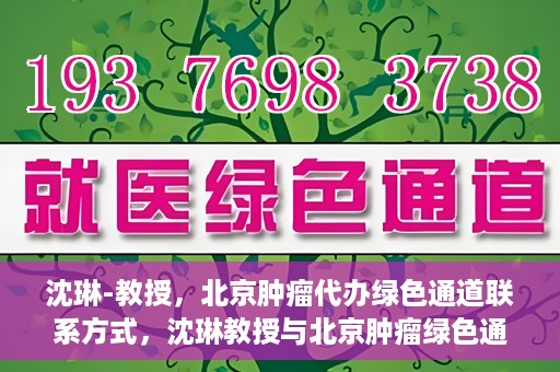 沈琳-教授，北京肿瘤代办绿色通道联系方式，沈琳教授与北京肿瘤绿色通道，联系代办，开启健康新篇章