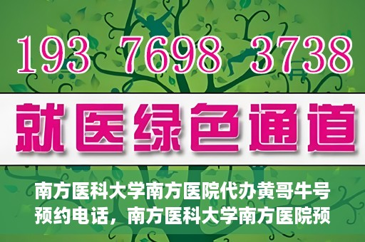 南方医科大学南方医院代办黄哥牛号预约电话，南方医科大学南方医院预约挂号代办服务联系方式揭晓，黄哥牛号预约电话揭秘