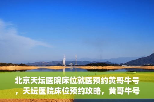 北京天坛医院床位就医预约黄哥牛号，天坛医院床位预约攻略，黄哥牛号助您轻松就医