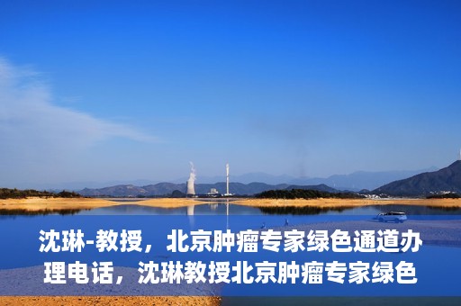 沈琳-教授，北京肿瘤专家绿色通道办理电话，沈琳教授北京肿瘤专家绿色通道联系电话