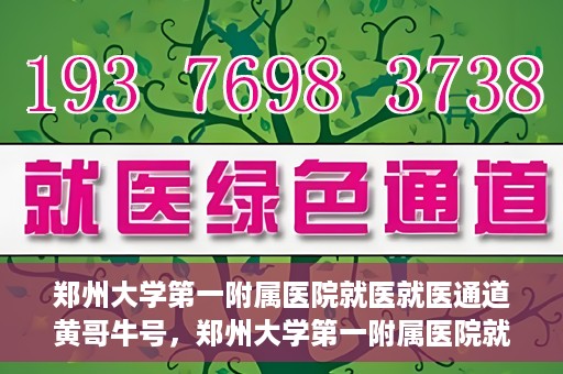 郑州大学第一附属医院就医就医通道黄哥牛号，郑州大学第一附属医院就医通道解析，黄哥牛号的实践之路