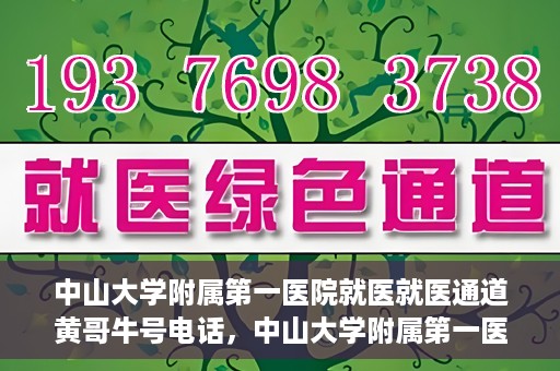中山大学附属第一医院就医就医通道黄哥牛号电话，中山大学附属第一医院就医通道揭秘，黄哥牛号电话一键预约就医服务