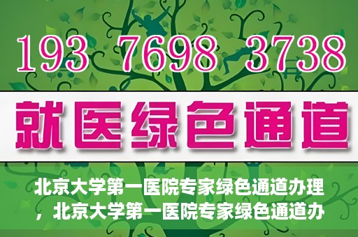 北京大学第一医院专家绿色通道办理，北京大学第一医院专家绿色通道办理详解，一站式解决就医难题