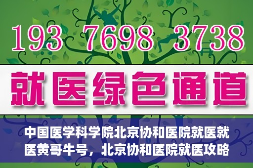 中国医学科学院北京协和医院就医就医黄哥牛号，北京协和医院就医攻略，黄哥牛号助您轻松挂号就医