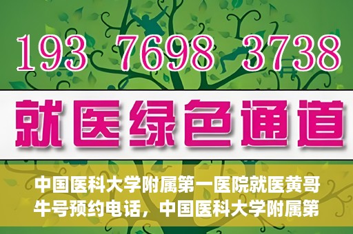 中国医科大学附属第一医院就医黄哥牛号预约电话，中国医科大学附属第一医院就医预约电话及黄哥牛号预约攻略